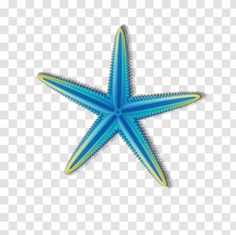 Hawaii Royalty-free Stock Photography - Aqua - Starfish Pattern Transparent PNG
