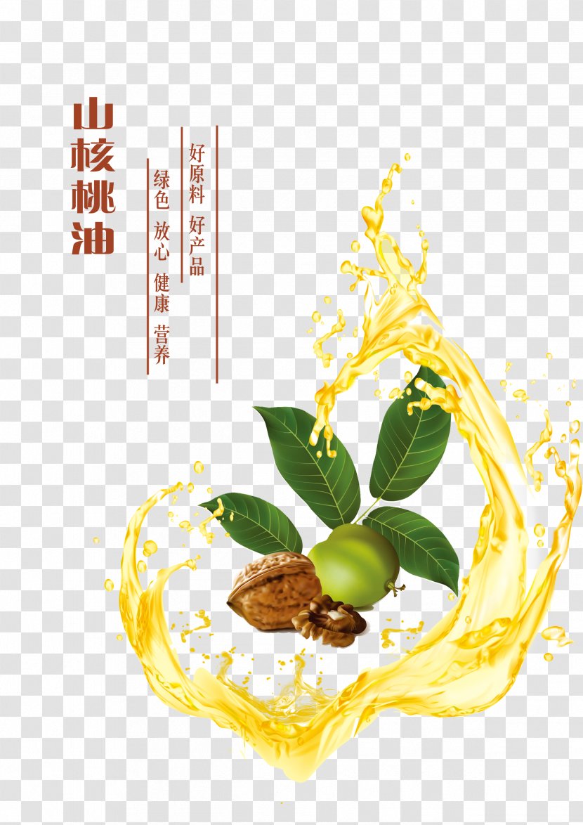 Walnut Oil Poster - Yellow - Pecan And Droplets Transparent PNG