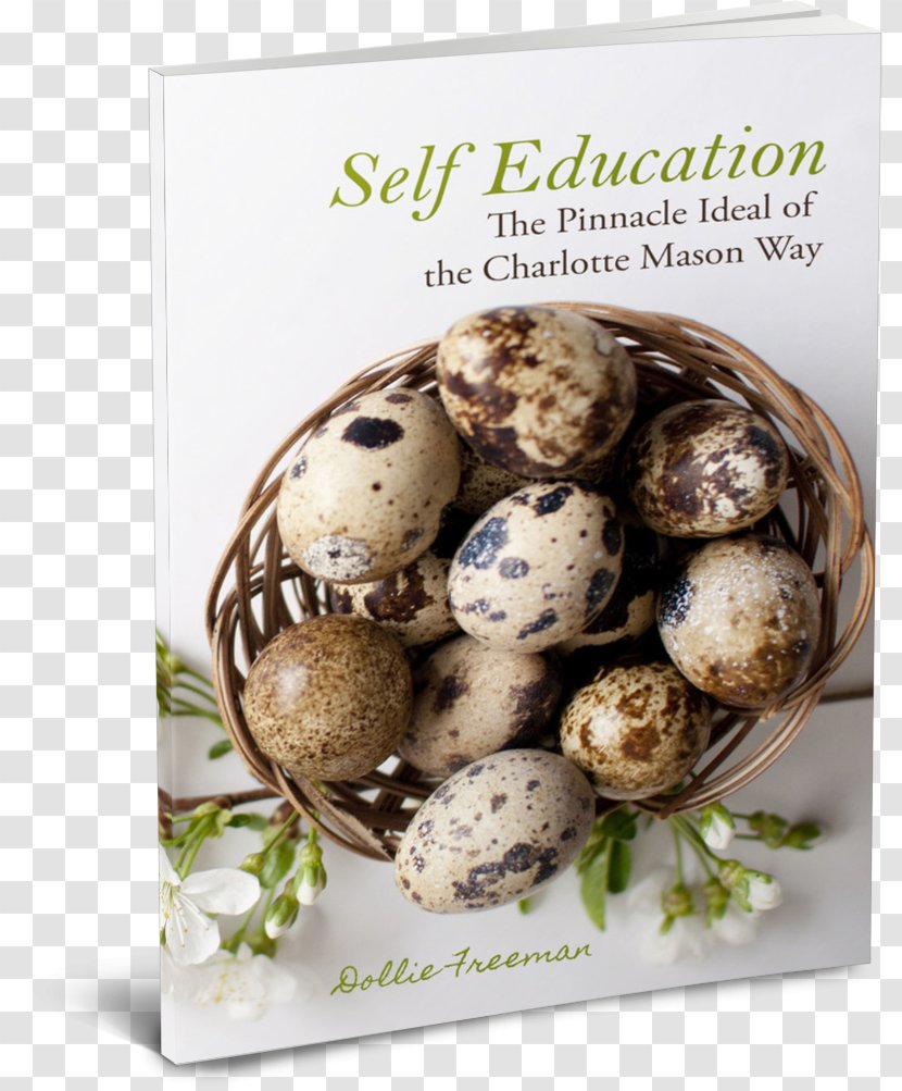 Charlotte Mason Homeschool: Volume 1 Home Education Homeschooling Elementary School 0 - Course Transparent PNG