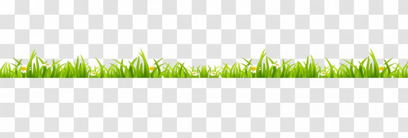 Grasses Green Wallpaper - Text - Lawn Grass Transparent PNG