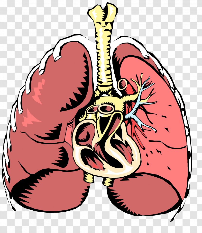 Respiratory Disease System Tract Breathing - Cartoon - Silhouette Transparent PNG
