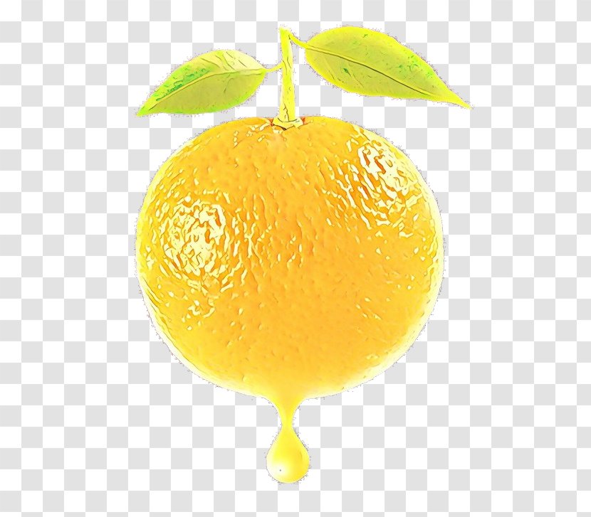 Citrus Lemon Fruit Citron Meyer - Yellow - Yuzu Plant Transparent PNG