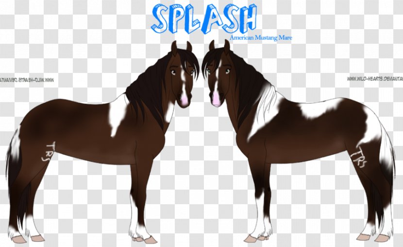 Mustang Mare Pony Feral Stallion - Wild Horse - Furry Transparent PNG