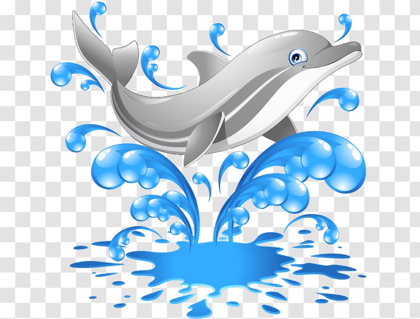 Clip Art Dolphin Illustration Image - Stock Photography Transparent PNG