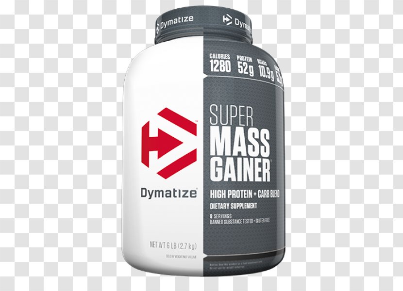 Gainer Bodybuilding Supplement Nutrition Muscle Hypertrophy Protein - Exercise - Tridentine Mass Transparent PNG