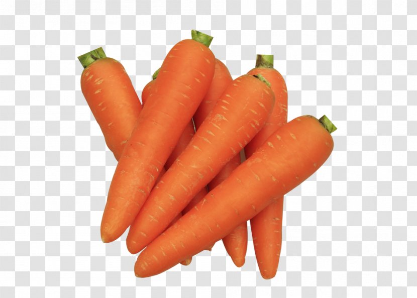 Carrot - Creative Transparent PNG