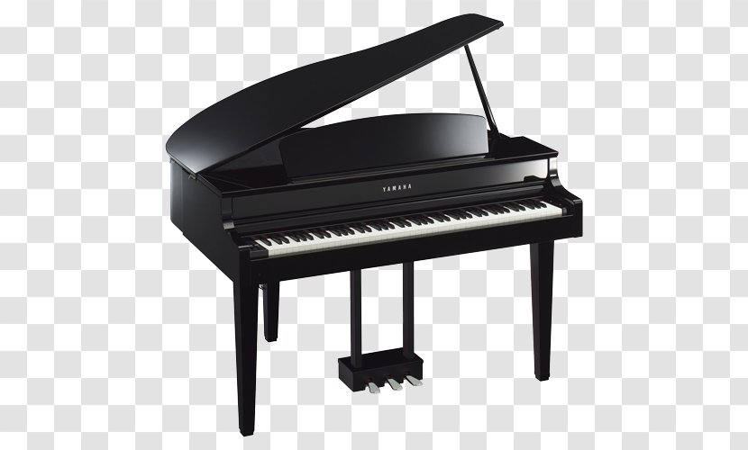 Yamaha Clavinova CLP-665GP Corporation Digital Piano - Tree Transparent PNG