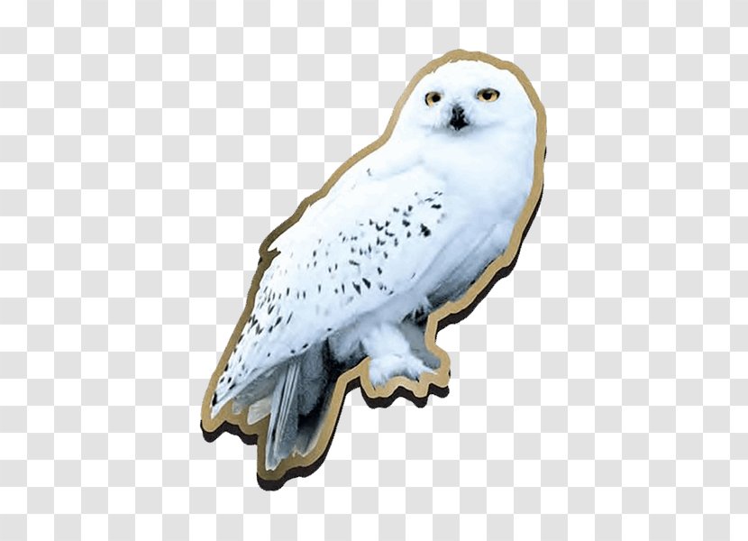 Garrï Potter Harry And The Deathly Hallows Fictional Universe Of Hedwig (Literary Series) - Sorting Hat - Owl Transparent PNG