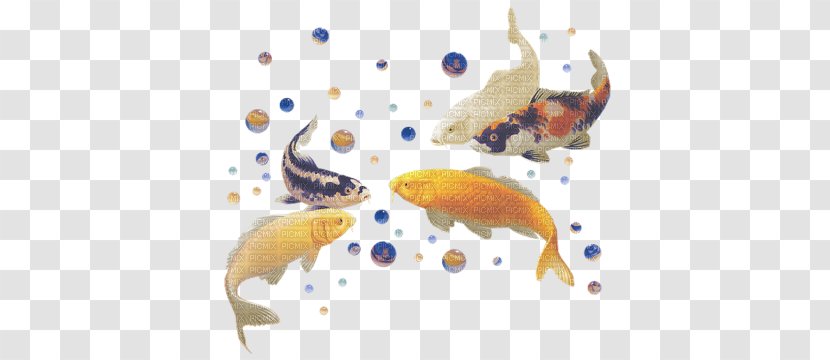 Fish Desktop Wallpaper - Sea Transparent PNG