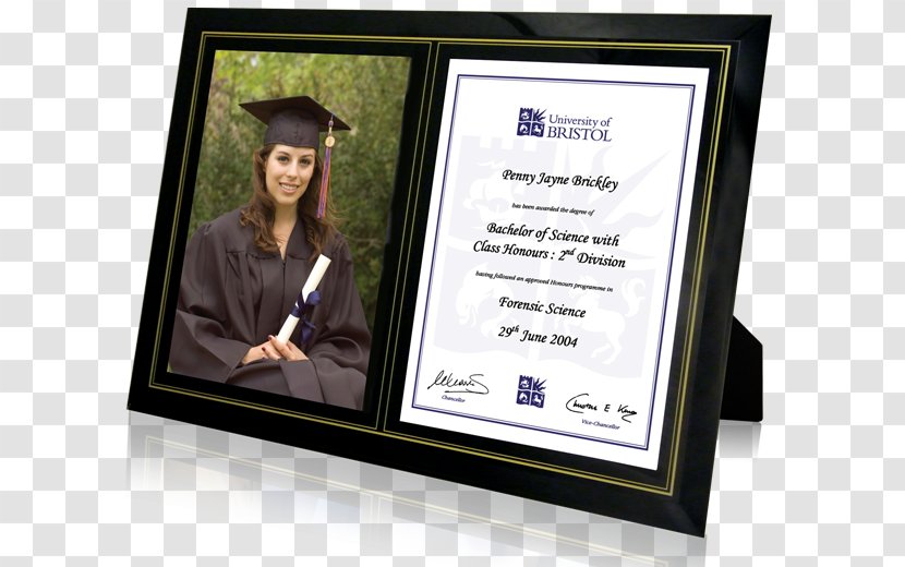 Picture Frames Diploma Graduation Ceremony Academic Certificate - Lightbox - GRADUATION BORDER Transparent PNG