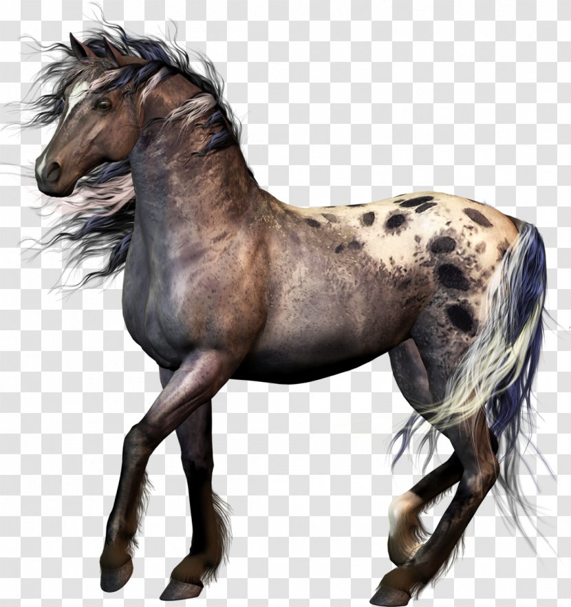 Mustang American Paint Horse Colt Foal - Livestock Transparent PNG