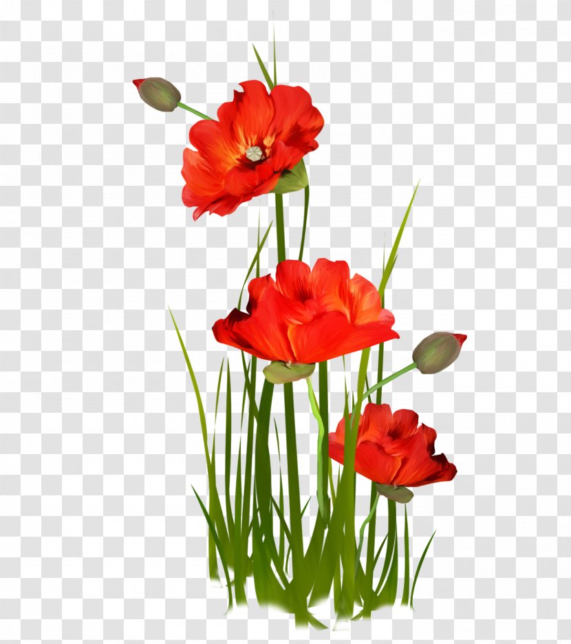 Flower Image Floral Design - Artificial Transparent PNG
