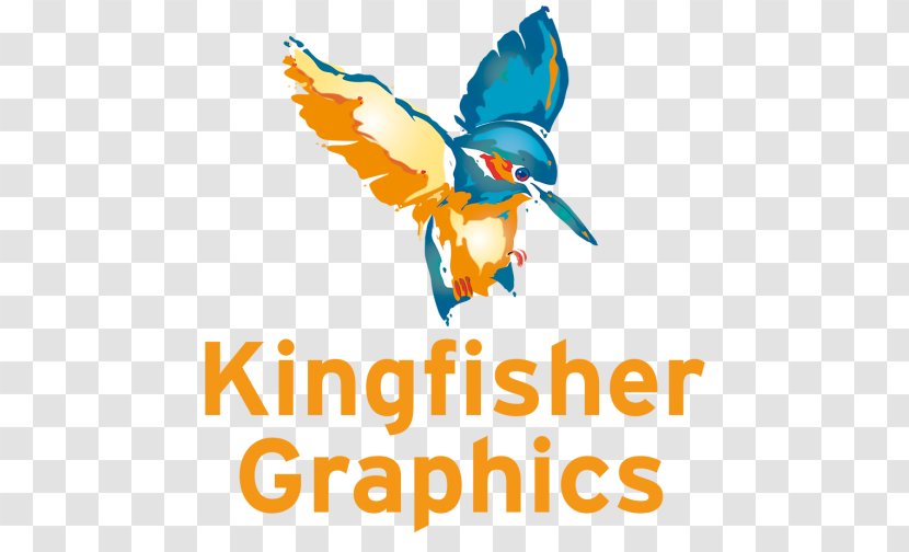 Kingfisher Graphics Limited Belted Drawing - Common Transparent PNG