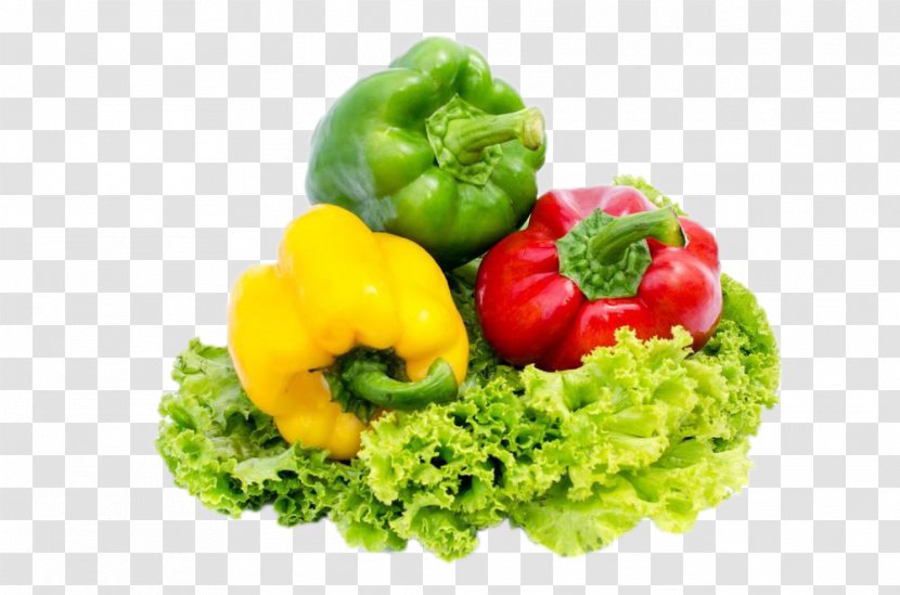 Bell Pepper Lettuce Chili Vegetable Food - Recipe - And Transparent PNG