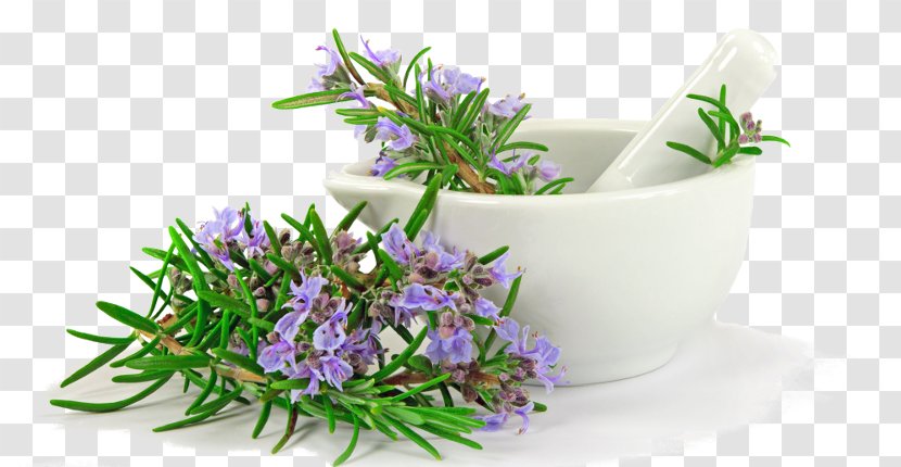 Herb Rosemary Mediterranean Cuisine Thyme Stock Photography - Culinary Art - Plant Transparent PNG