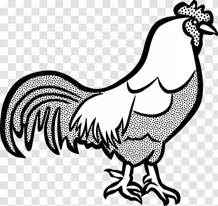 Cochin Chicken Wyandotte Rooster Dorking The Cock Coloring Book - Artwork - Black And White Funny Cartoon Pictures Of Ducks Transparent PNG