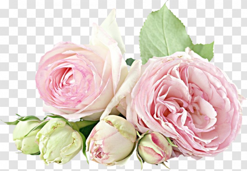 Flower Bouquet Rose Birthday Birth Transparent PNG
