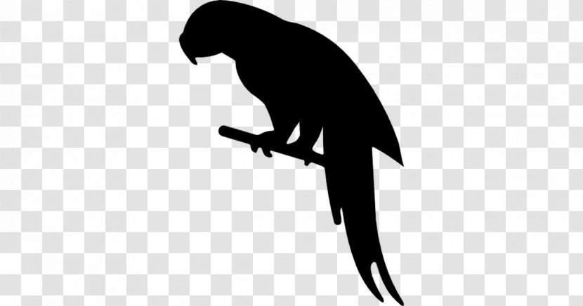 Parrot Bird Silhouette Animal - Wing Transparent PNG