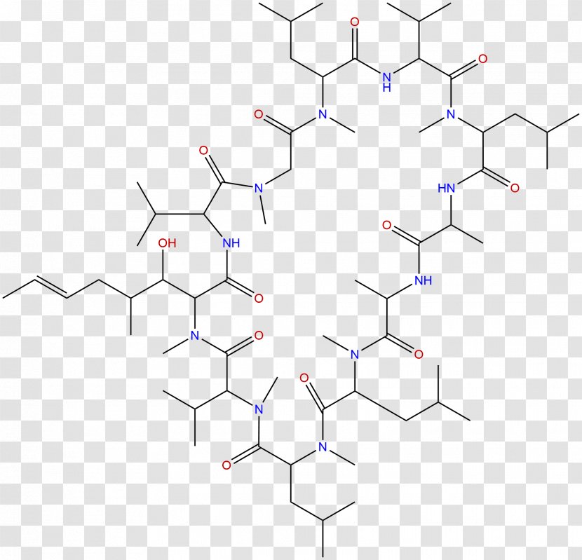 Amino Acid Peptide Synthesis Thermodynamic Activity - Phytochemicals Transparent PNG