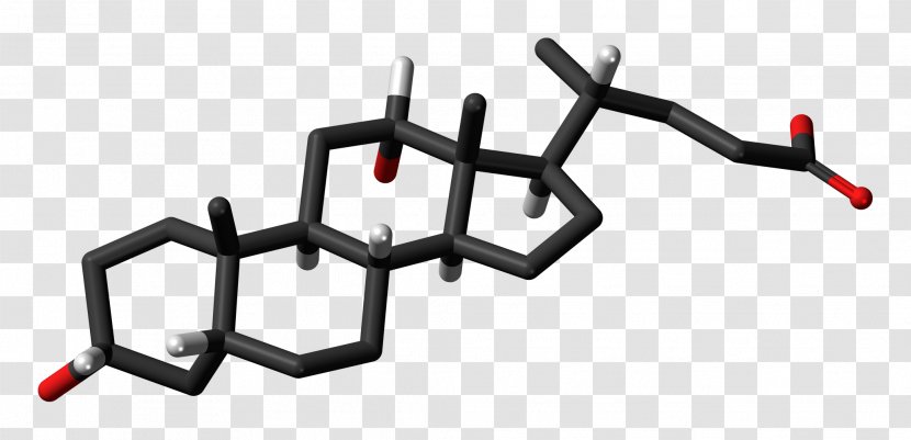 Steroid Hormone Cortisol Anabolic - Skeletal Transparent PNG