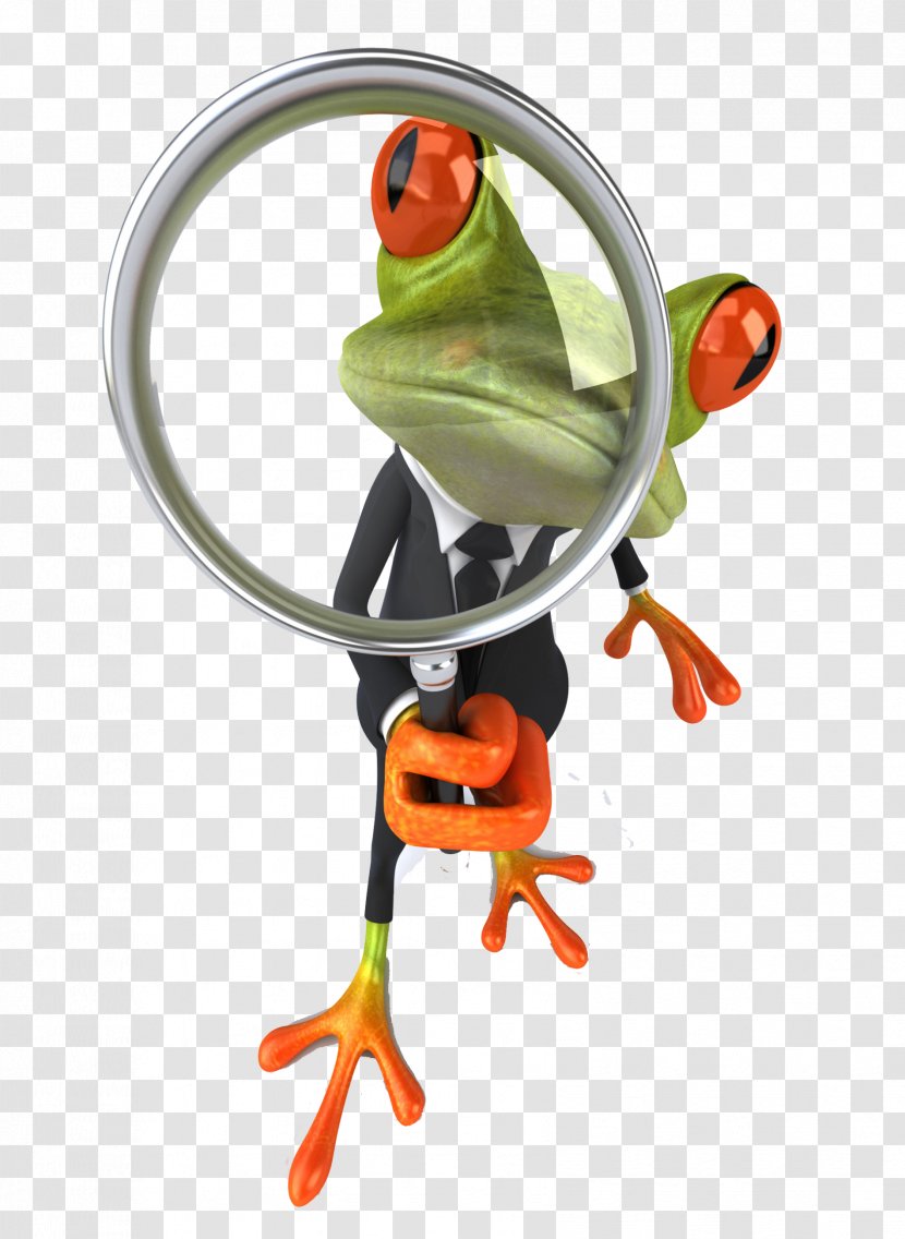 Frog Stock Photography Royalty-free - Orange - Amphibian Transparent PNG