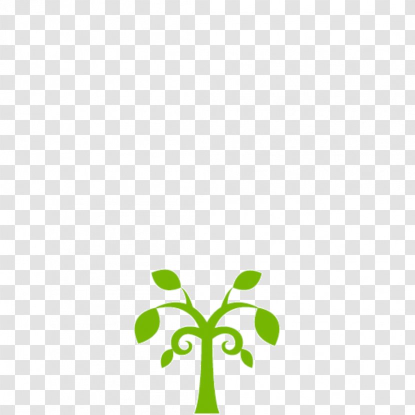 Green Leaf Background - Baby Transport - Plant Transparent PNG