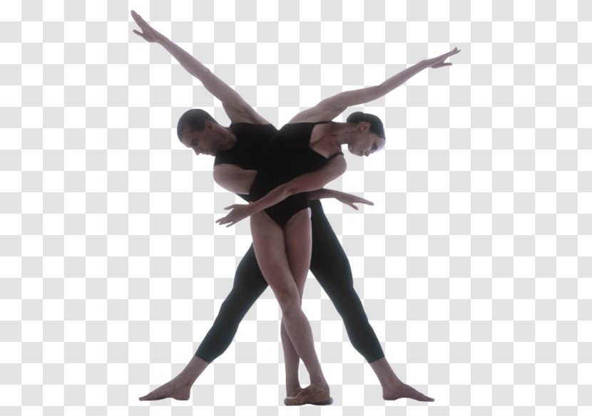 Ballet Dancer Contemporary Dance - Tree Transparent PNG
