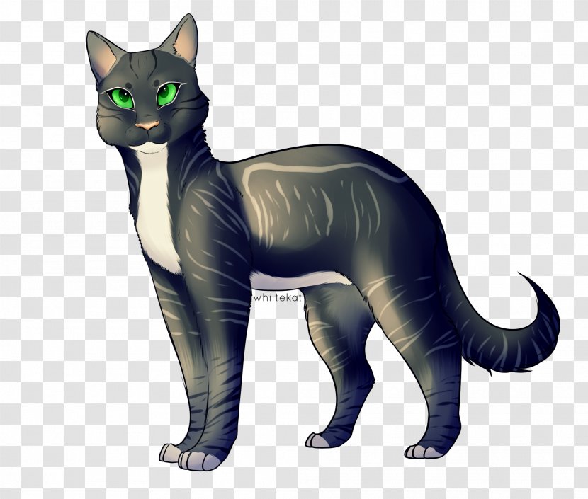 Korat Whiskers Domestic Short-haired Cat Paw Tail - Raver Transparent PNG