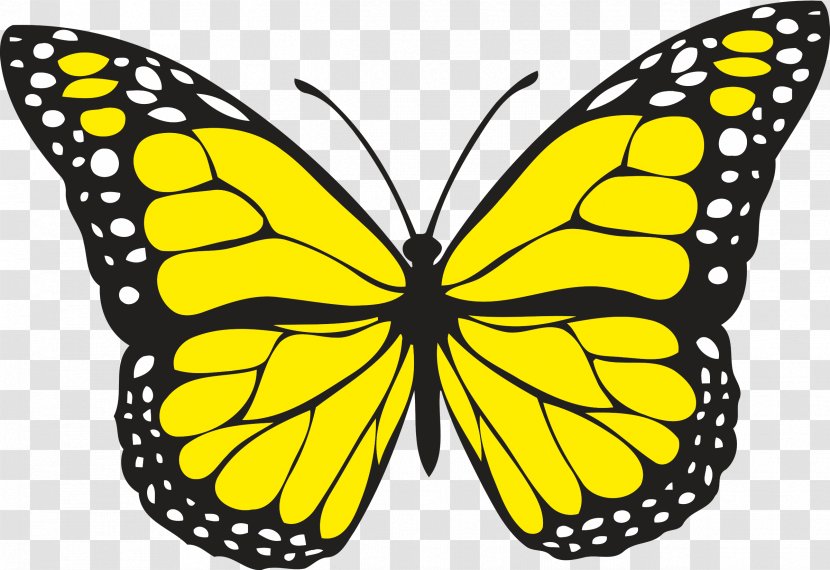 Butterfly Yellow Clip Art - Orange - Cliparts Transparent PNG