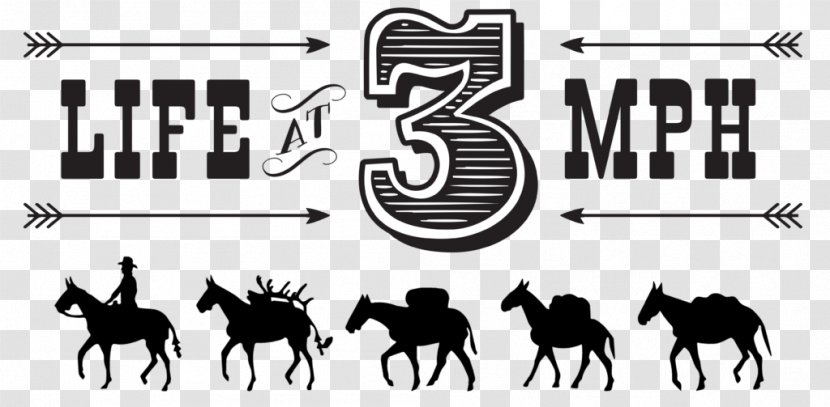 Estes Park Mule Mustang Logo Clip Art - Equestrian Transparent PNG