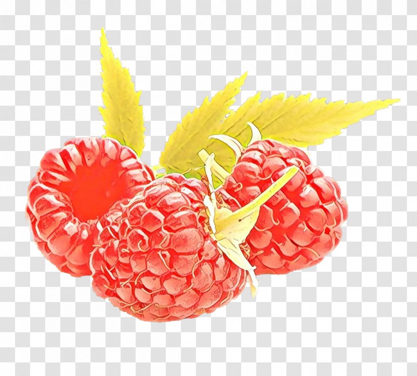 Pineapple - Rubus - Frutti Di Bosco Blackberry Transparent PNG