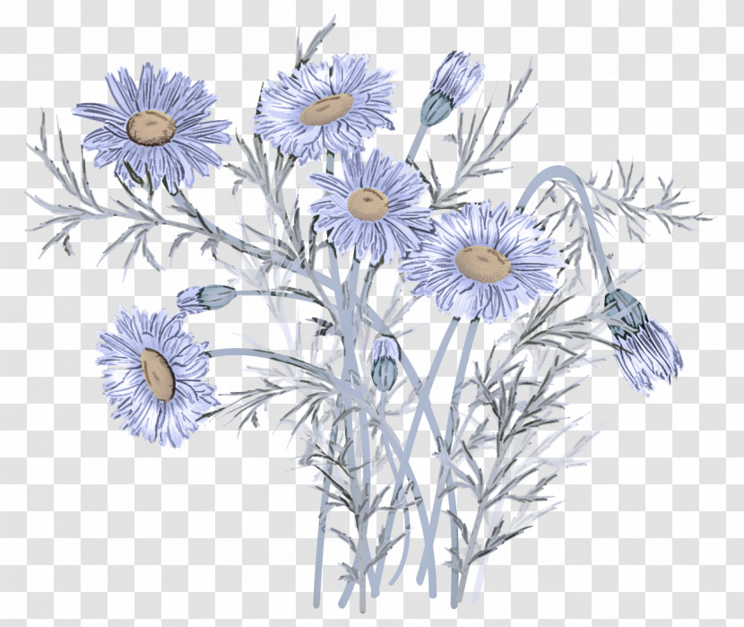 Daisy Transparent PNG