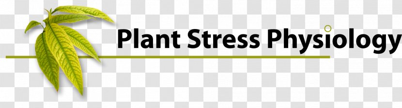Plant Physiology Stress - Text Transparent PNG