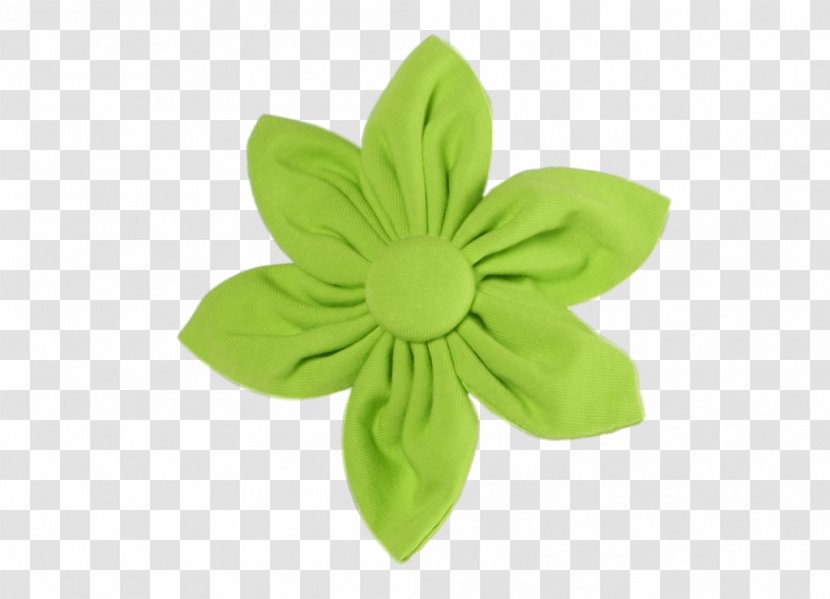 Petal Green Flower Clothing Transparent PNG