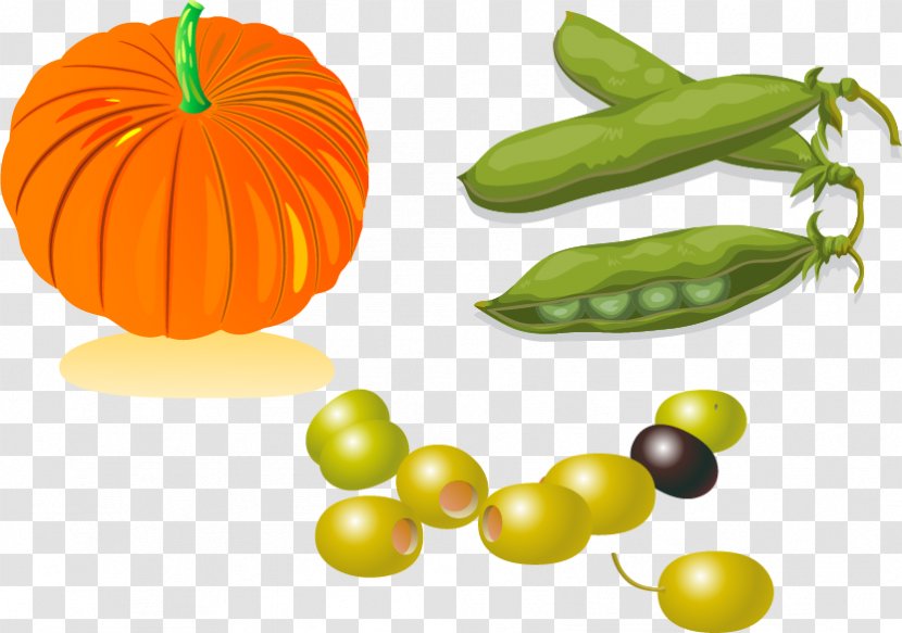 Snow Pea Edamame Vegetarian Cuisine Bean - Melon - Pumpkin Beans Vector Material Transparent PNG