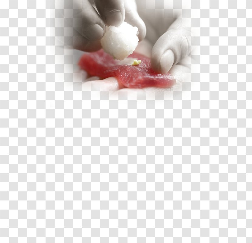 Finger Close-up - Close Up - Delicious Sushi Transparent PNG