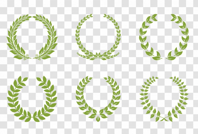 Laurel Wreath Garland Bay - Green - Vector Fresh Flower Garlands Transparent PNG