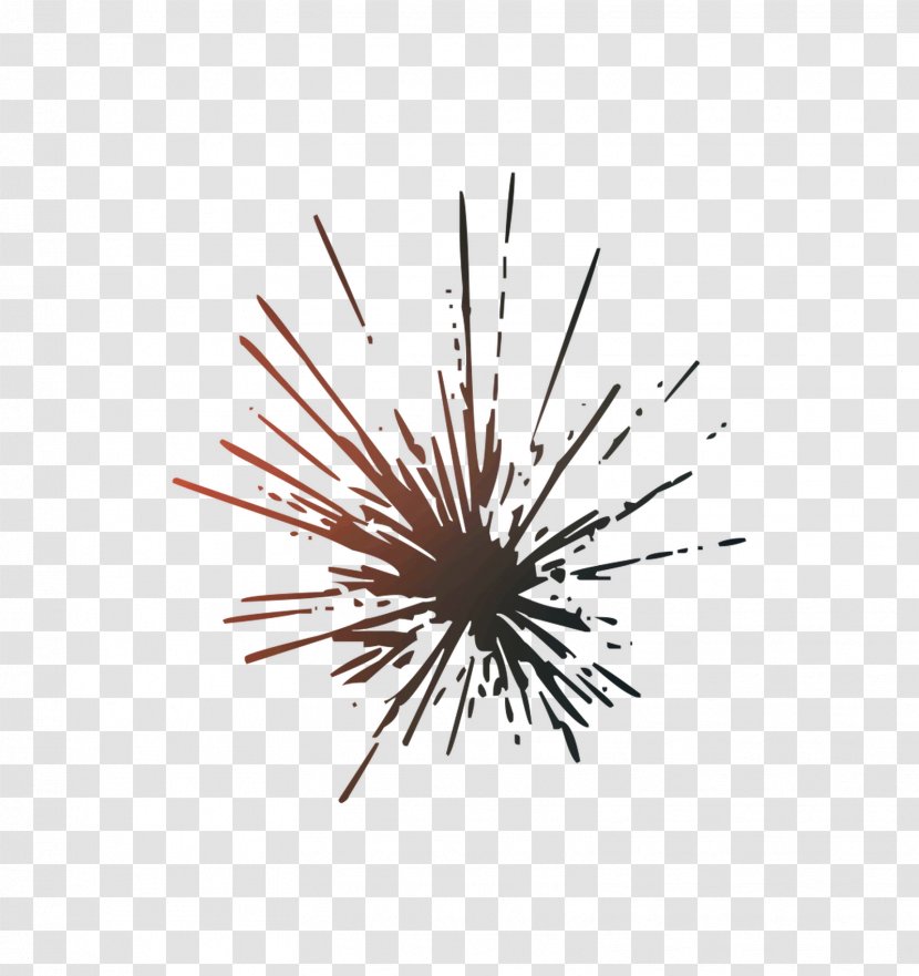 Line - Fireworks Transparent PNG