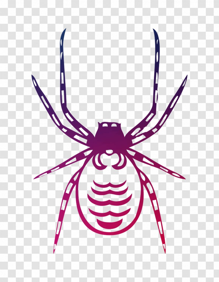 Spider-Man Vector Graphics Royalty-free Illustration - Insect - Invertebrate Transparent PNG