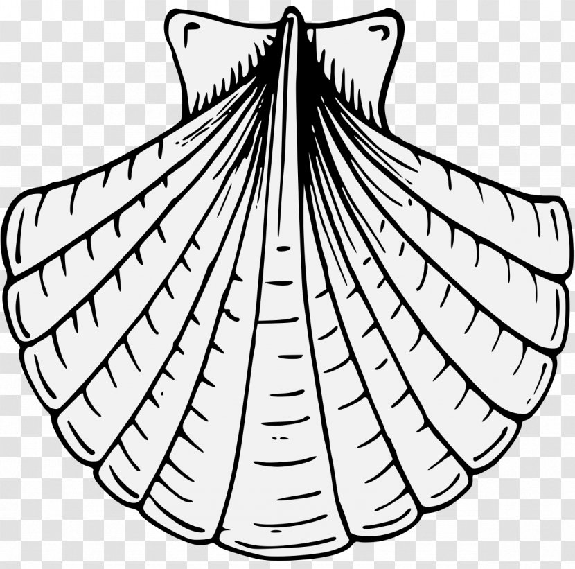 Complete Guide To Heraldry Line Art - Black And White - Scallop Shell Transparent PNG