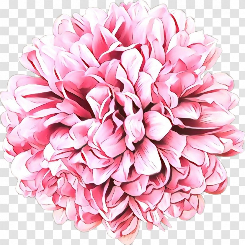 Pink Flower Cartoon - Sarah Creations - Peach Flowering Plant Transparent PNG