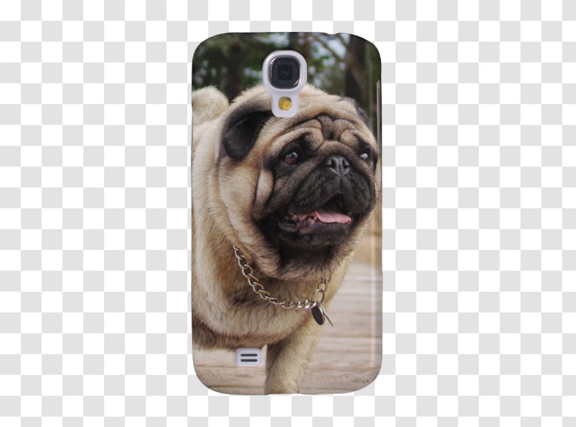 Pug Samsung Galaxy S5 Dog Breed IPhone 5s Nexus 5 - Vertebrate Transparent PNG