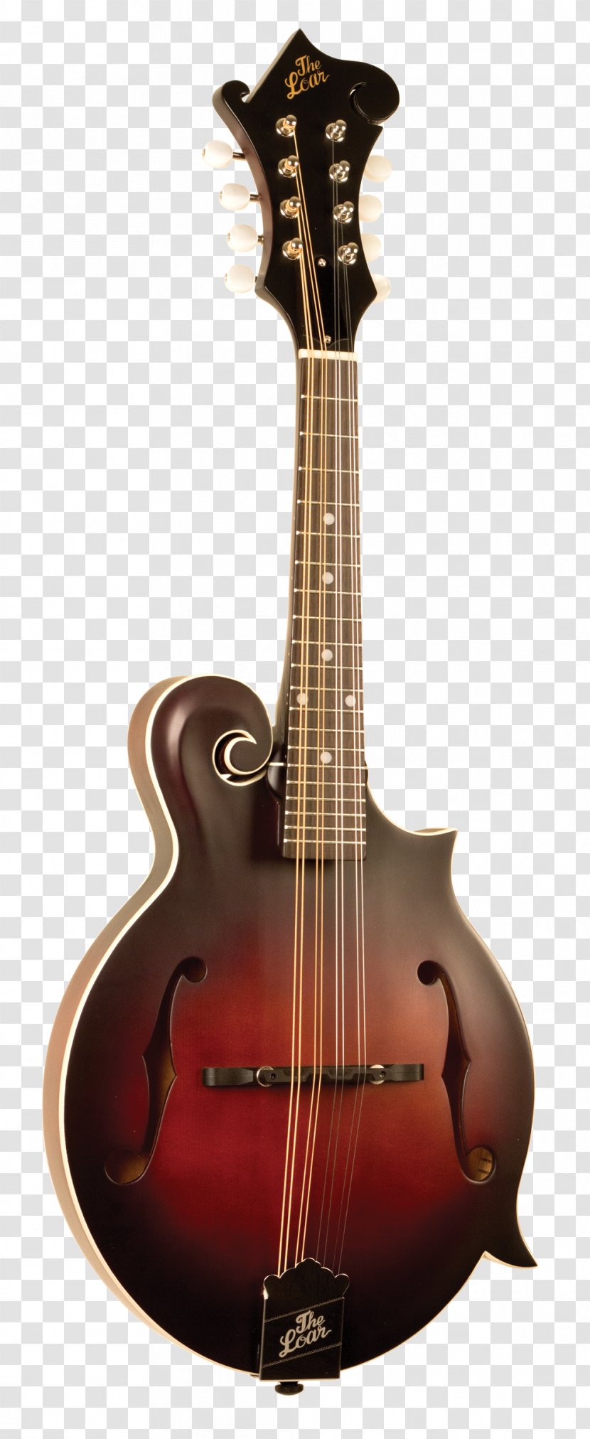 Mandolin The Loar LM-520 Musical Instruments Guitar Neck - Cartoon Transparent PNG
