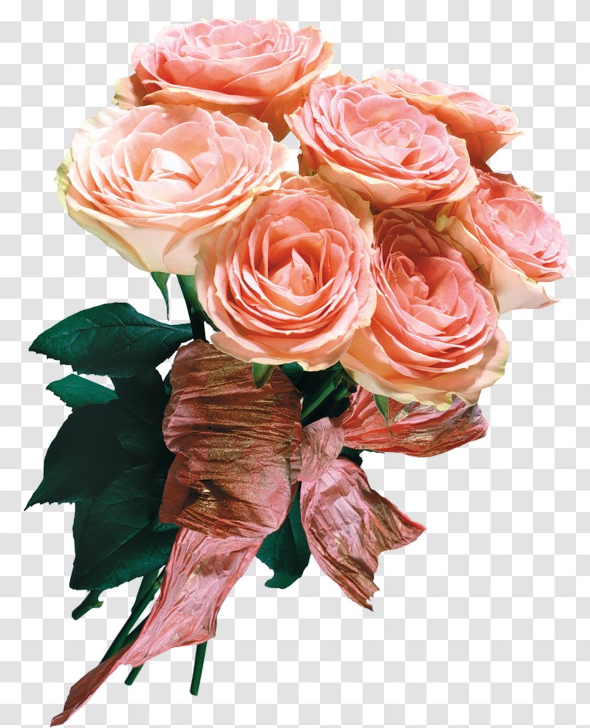 Baku Flower Festival Bouquet Garden Roses Clip Art Transparent PNG