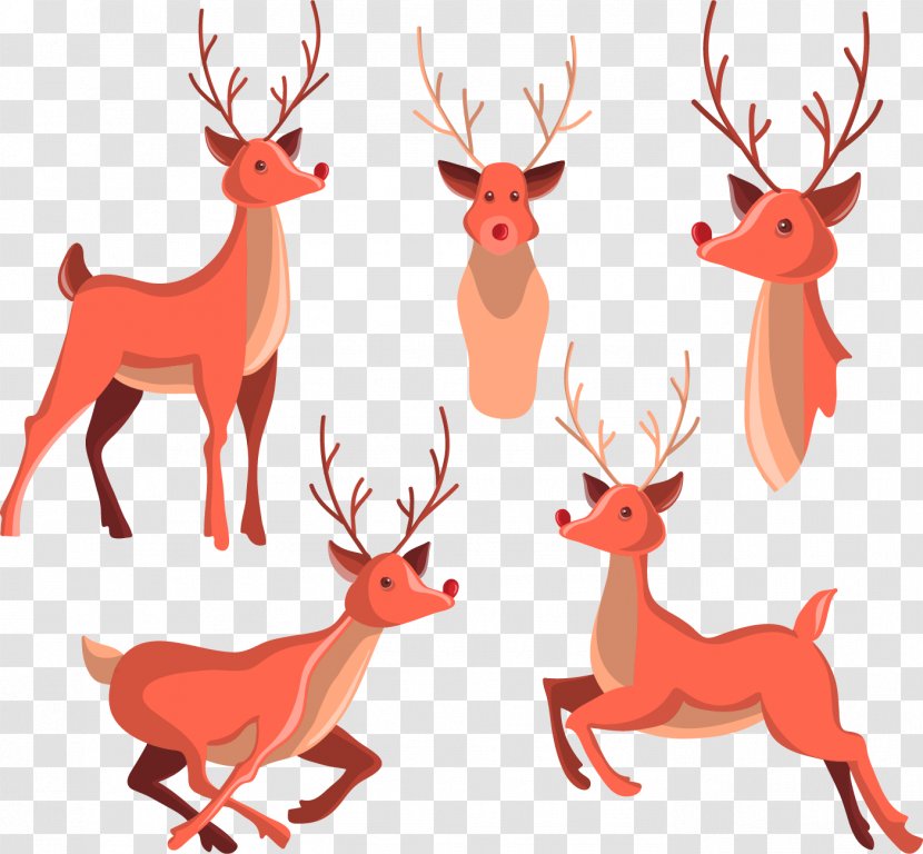 Reindeer Drawing Illustration - Sika Deer - Flat Creative Transparent PNG