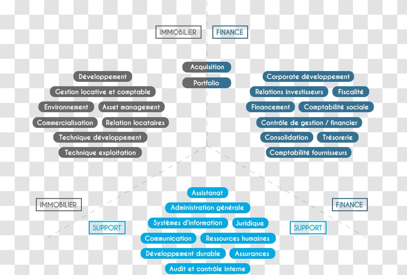 Craft Career Cartography Afacere Management - Area Transparent PNG