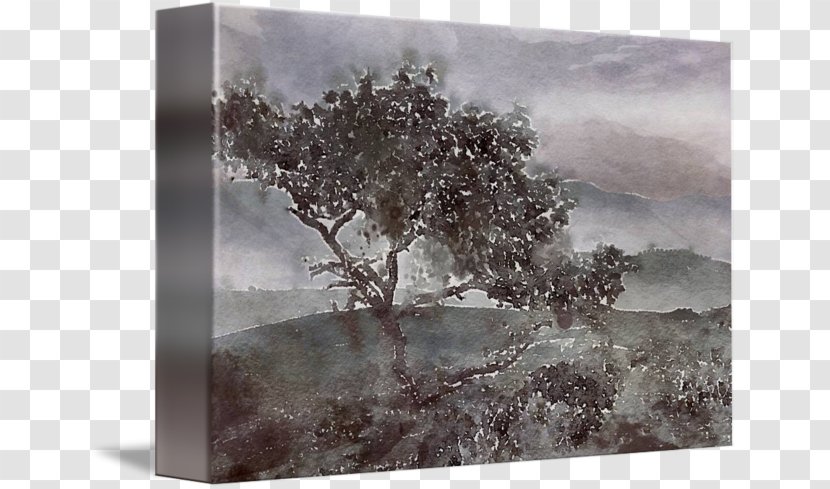 Mountain View Painting Wall Decal Tree Wood - Watercolor Transparent PNG