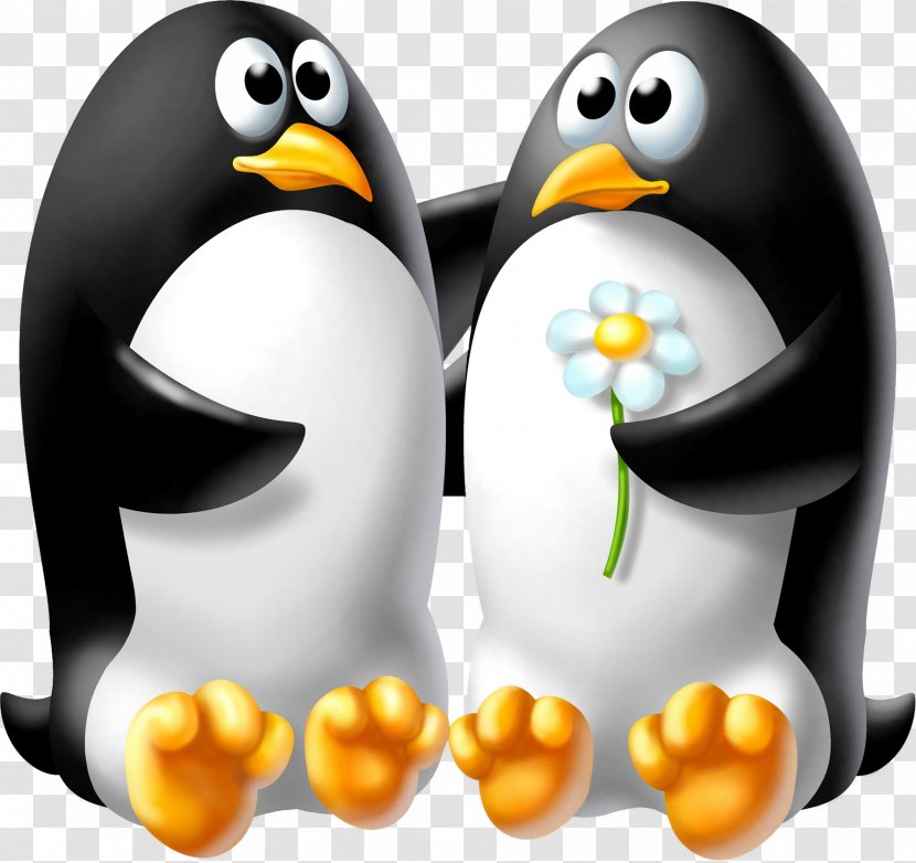 Penguin Desktop Wallpaper Child - Highdefinition Video Transparent PNG