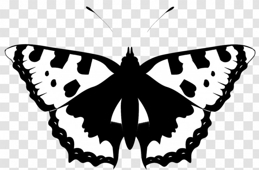 Butterfly Silhouette Black And White Clip Art - Brush Footed - Capricorn Transparent PNG
