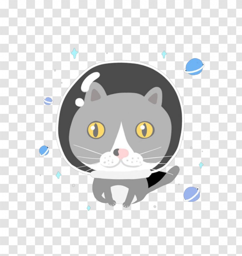 Cat Cartoon Whiskers - Carnivoran - Space Transparent PNG